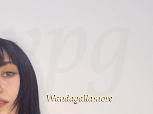 Wandagallamore