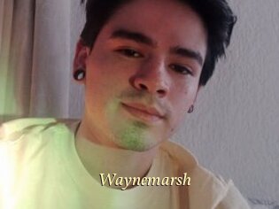 Waynemarsh