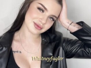 Whitneyfugler