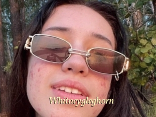 Whitneygleghorn