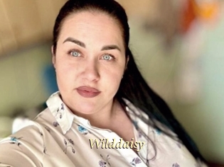 Wilddaisy