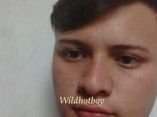 Wild_hotboy