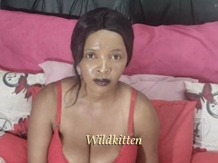Wildkitten