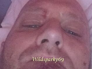 Wildsparky69