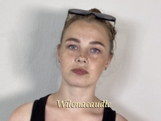 Wilonacaudle