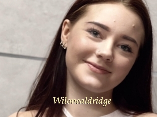Wilonealdridge