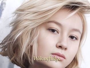 Wilonefudge