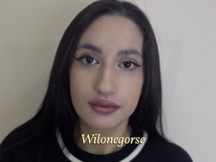 Wilonegorse