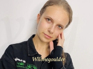 Wilonegoulder