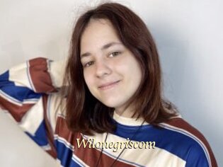 Wilonegriscom