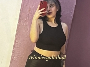 Winniexgallahad