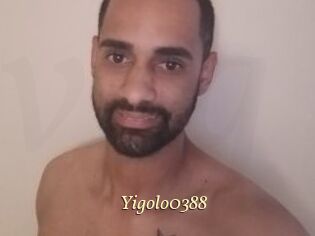 Yigolo0388