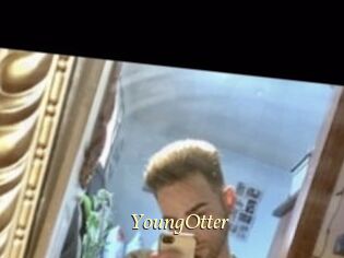 YoungOtter