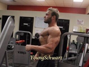 YoungSchwarz