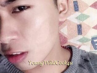 YoungWildCock4u