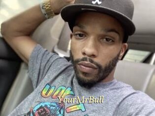 YourMrBull