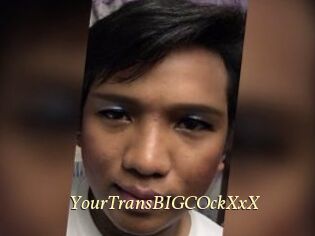 YourTransBIGCOckXxX
