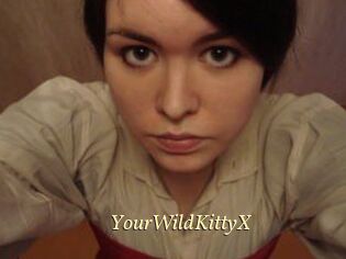 YourWildKittyX Vidéo porno gratuite