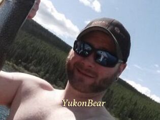 YukonBear