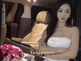 Yangqinmm