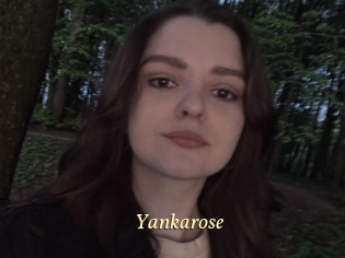 Yankarose