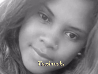 Ynesbrooks