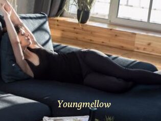 Youngmellow