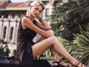 Yourbird