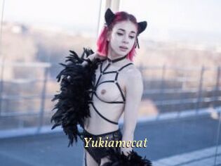 Yukiamecat