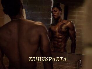 ZEHUS_SPARTA
