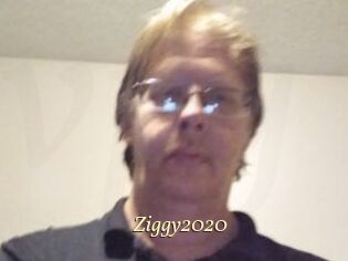 Ziggy2020