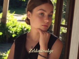 Zeldadrudge