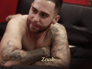 Zeusb