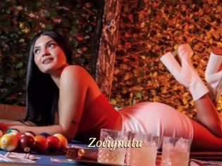 Zoeignatu