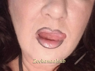Zoekanaalsub